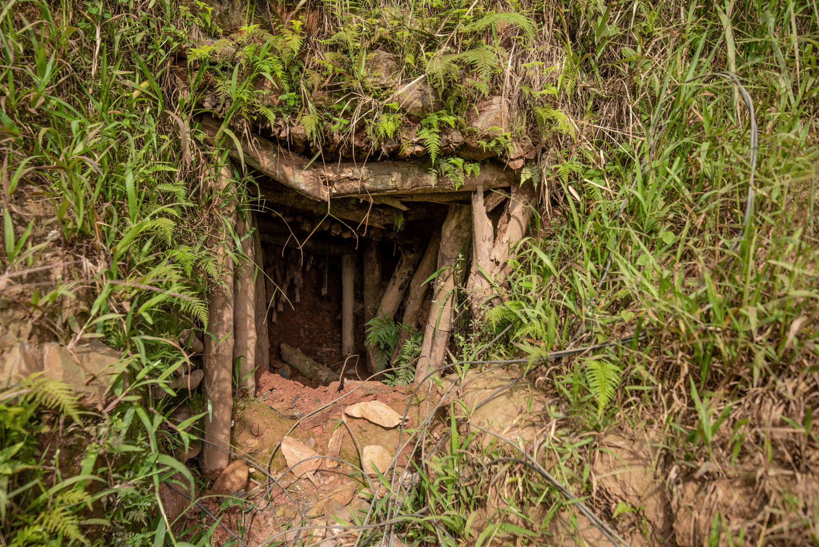 South Kivu Province, March 2021. The collapsing entry to one of the dangerous mine shafts at Kamituga. © Moses Sawasawa for Fondation Carmignac