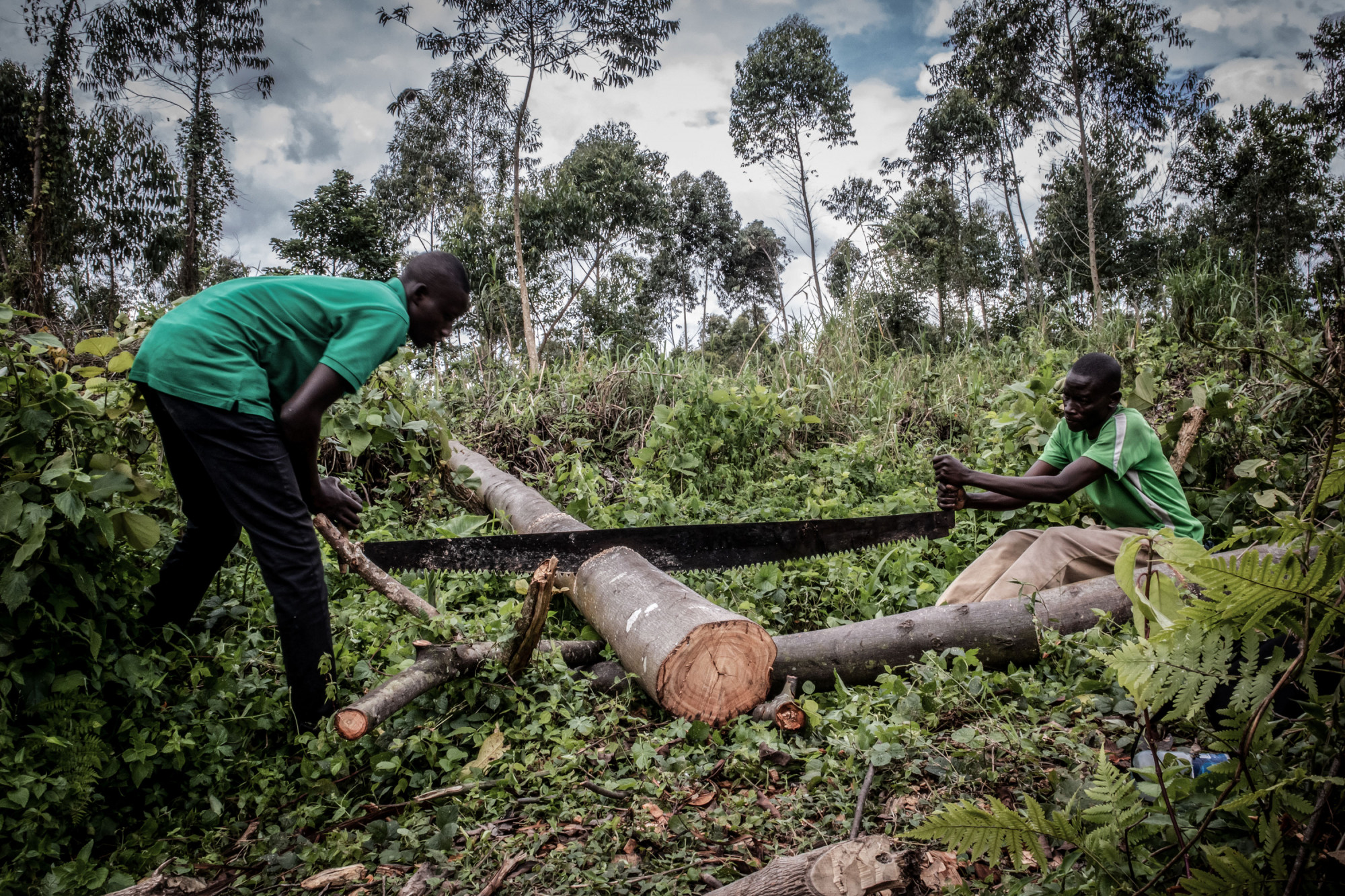 Parc national des Virunga, RDC, novembre 2020. Sur une bande de terre déboisée près du village de Rusayo, au nord de Goma, des hommes coupent du bois qui sera transformé en charbon. © Guerchom Ndebo pour la Fondation Carmignac