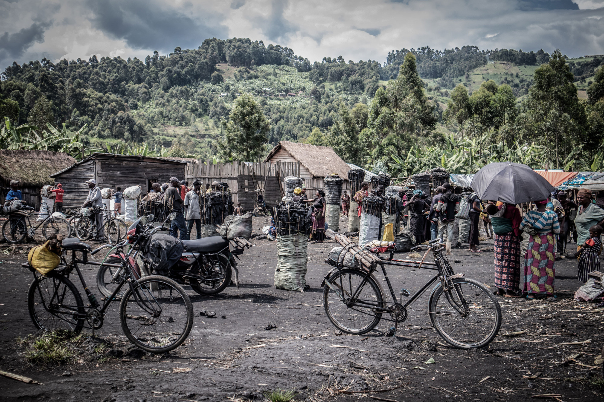 Marché du charbon de bois à Kulupango, principal fournisseur de Goma, chef-lieu du Nord-Kivu.