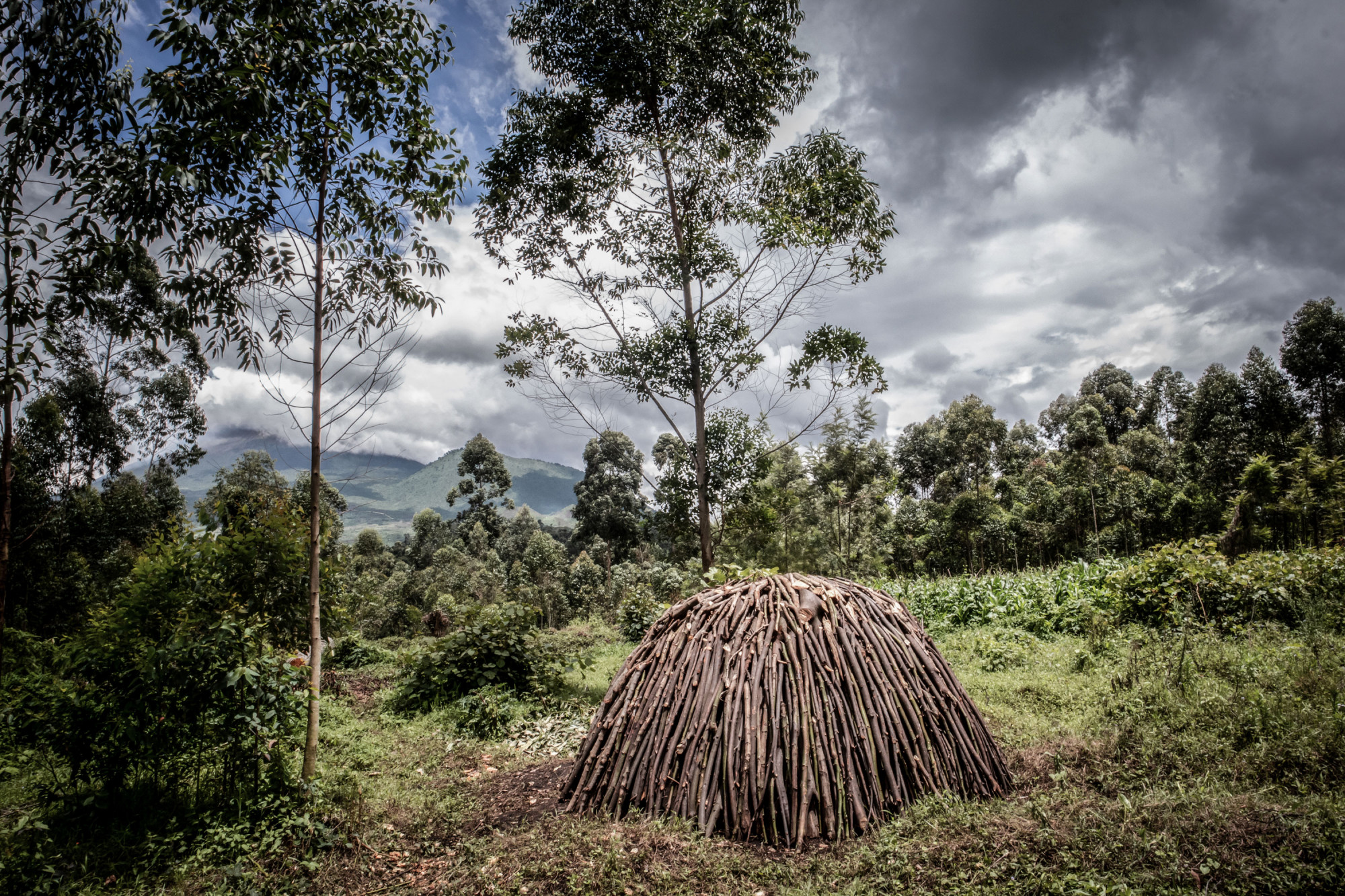 Parc national des Virunga, RDC, novembre 2020.  Un four pour produire du charbon de bois au milieu d’une bande de terre déboisée au nord de Goma. © Guerchom Ndebo pour la Fondation Carmignac