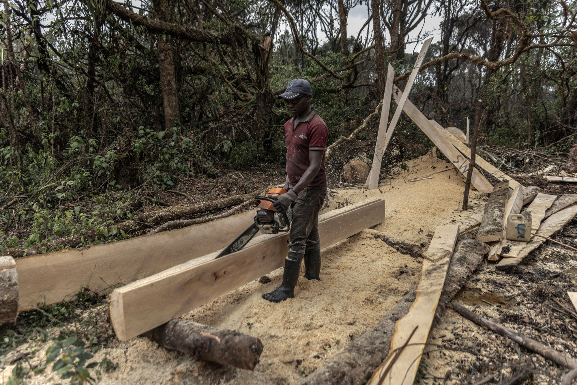 Bugamanda, parc national de Kahuzi-Biega, 3 septembre 2021. Production de planches à l’aide d’une scie électrique pour la construction de maisons. © Guerchom Ndebo pour la Fondation Carmignac. 