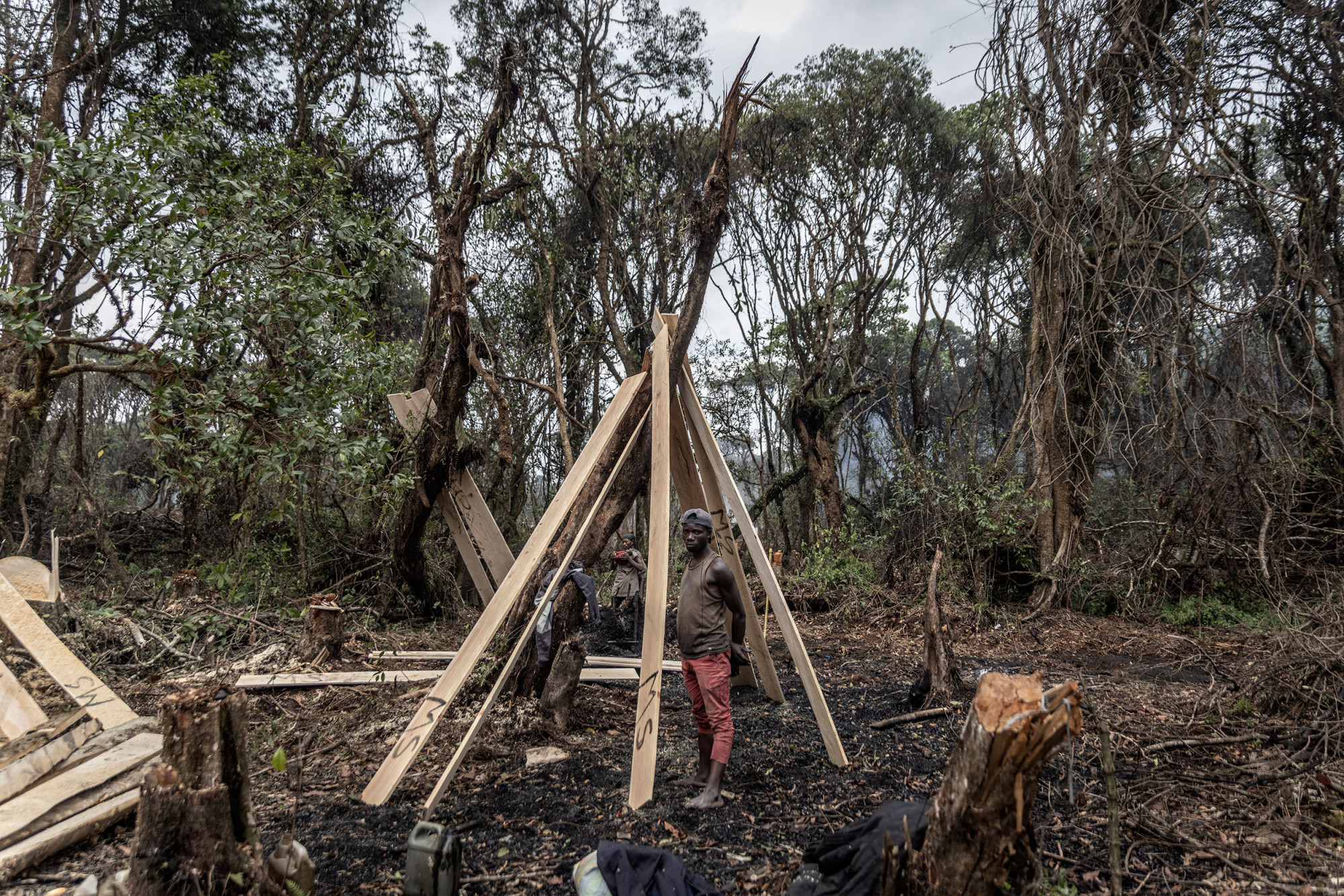 Bugamanda, parc national de Kahuzi-Biega, 3 septembre 2021. Un travailleur présente des planches prêtes à la vente. © Guerchom Ndebo pour la Fondation Carmignac. 