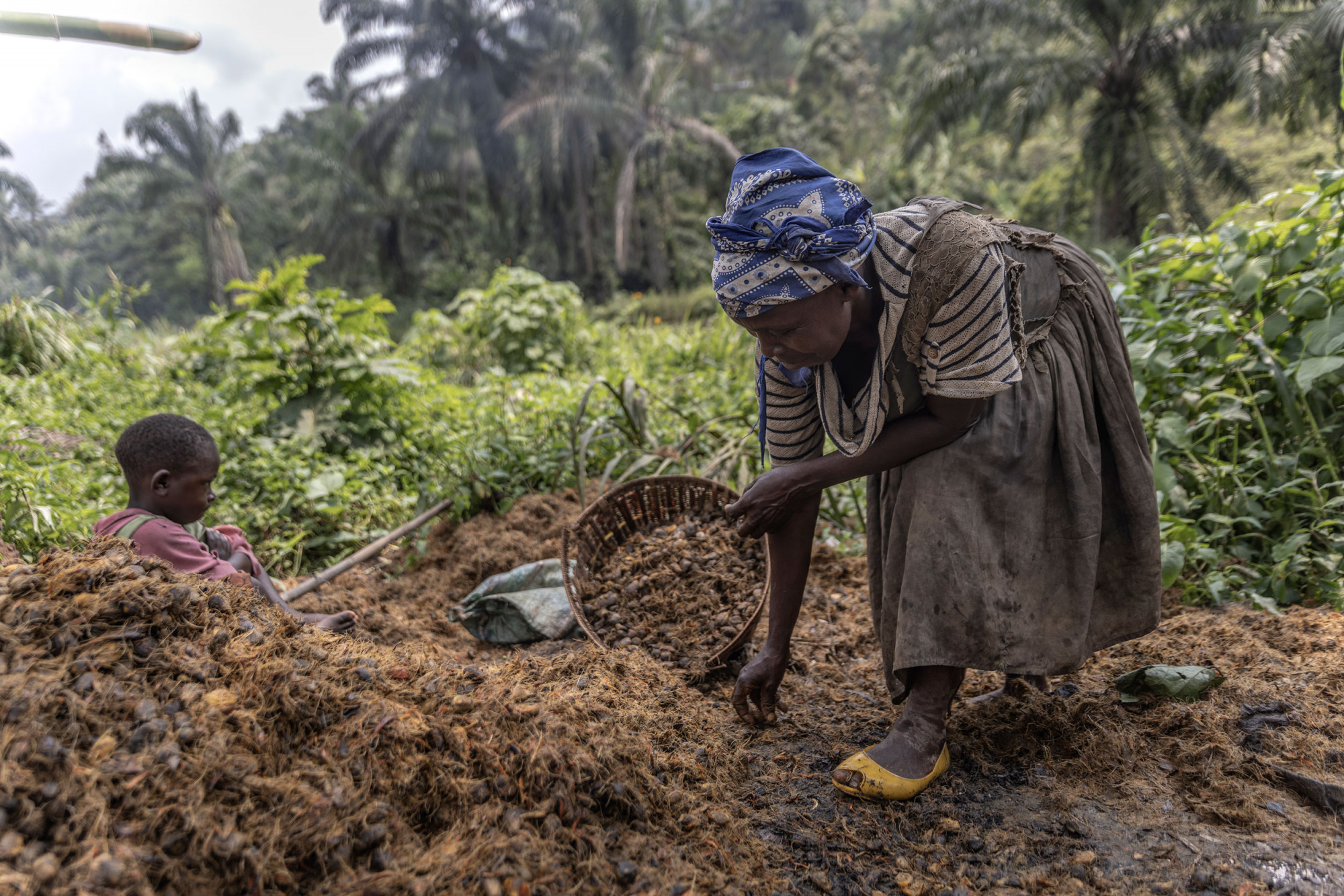 Bunyakiri, Sud-Kivu, 2 septembre 2021. Une femme de la famille Kasangwania dans une plantation d’huile de palme recueille les déchets de palmes de l’huilerie artisanale. © Guerchom Ndebo pour la Fondation Carmignac.
